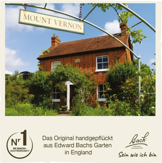 Bachblüten Vervain 20 ml Tropfen