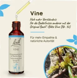 Bachblüten Vine 20 ml Tropfen
