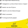 Bach Original Rescura Mit Alkohol 7 ml Spray