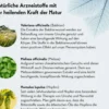 Baldriparan zur Beruhigung 120 überzogene Tabletten
