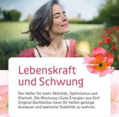 Bb Gute Energie Tropfen 20 ml