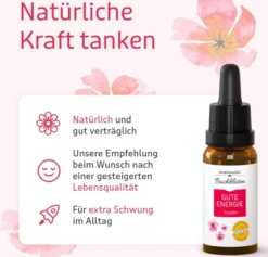 Bb Gute Energie Tropfen 20 ml
