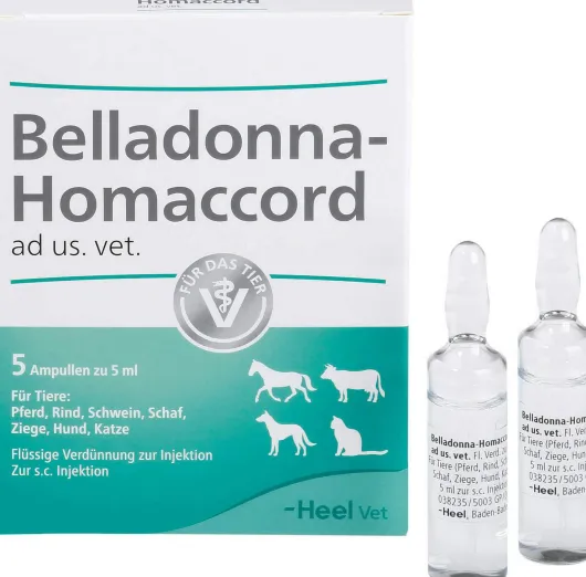 Belladonna Homaccord Ad Us.Vet.Ampullen