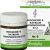 Biochemie 9 Natrium Phosphoricum D12 80 Tabletten