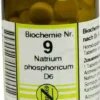Biochemie 9 Natrium Phosphoricum D6 100 Tabletten