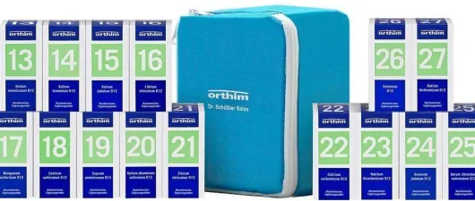 Biochemie Orthim Reiseapotheke 13-27 15x100 Tabl