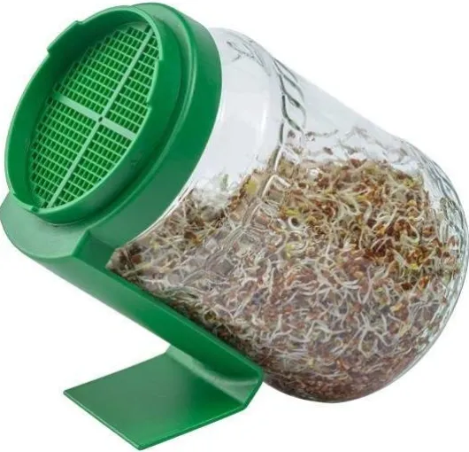 Bio Snacky Keimglas