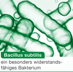 Bioticloges Subtilis 30 Kapseln