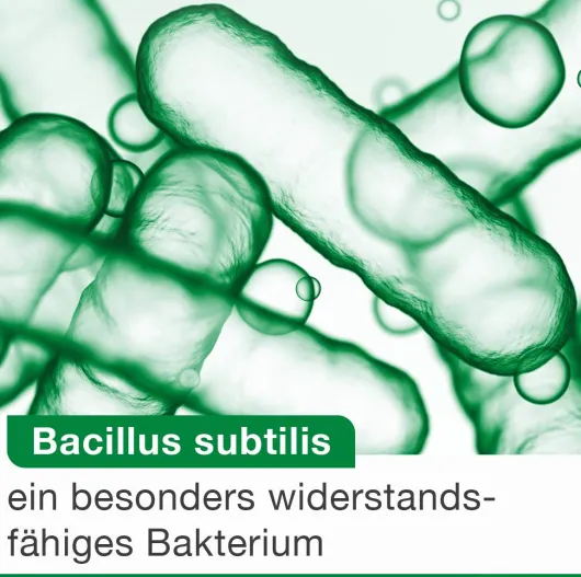 Bioticloges Subtilis 30 Kapseln