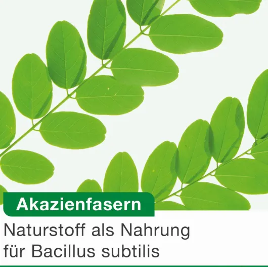 Bioticloges Subtilis 30 Kapseln