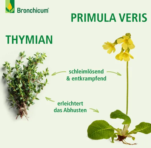 Bronchicum Elixir 100 ml Flüssigkeit