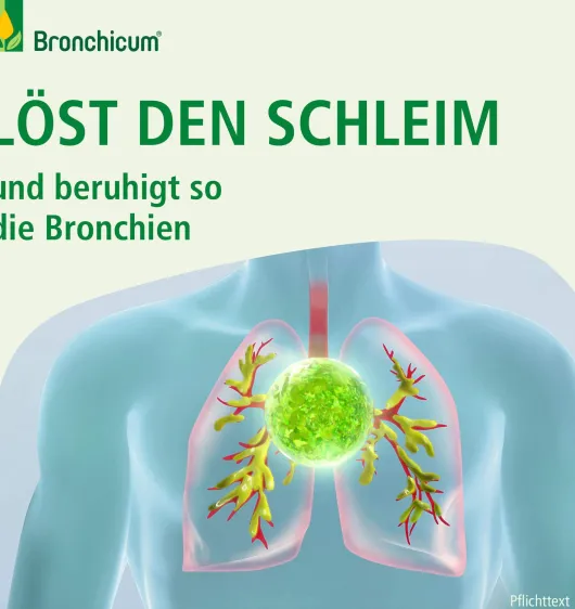Bronchicum Elixir 100 ml Flüssigkeit