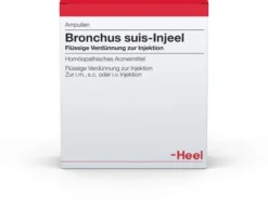 Bronchus Suis-Injeel N1 10 Ampullen zu 1,1 ml
