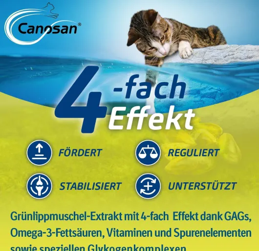 Canosan Für Katzen 30 Kautabletten