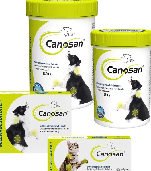 Canosan Konzentrat 1300 g
