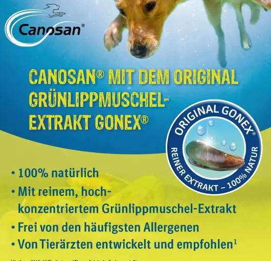 Canosan Konzentrat 1300 g