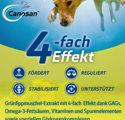 Canosan Konzentrat 1300 g