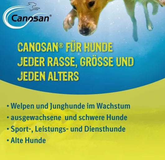 Canosan Konzentrat 1300 g