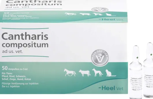 Cantharis Compositun Ad Us.Vet. 50 Ampullen