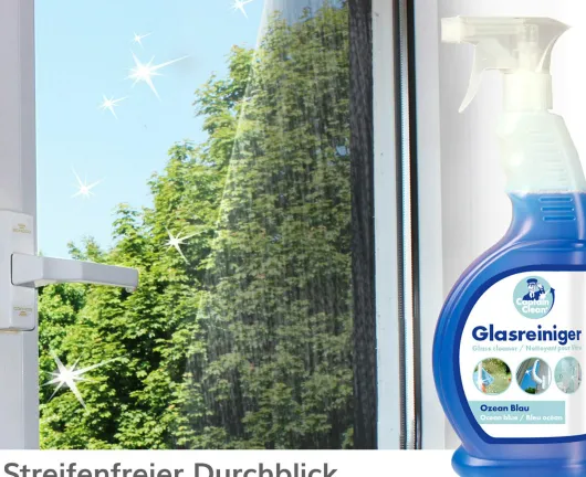 Captain Clean Glasreiniger 650 ml