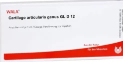 Cartilago Articularis Genus Gl D 12 Ampullen