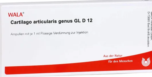 Cartilago Articularis Genus Gl D 12 Ampullen