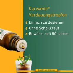 Carvomin Verdauungstropfen 20 ml