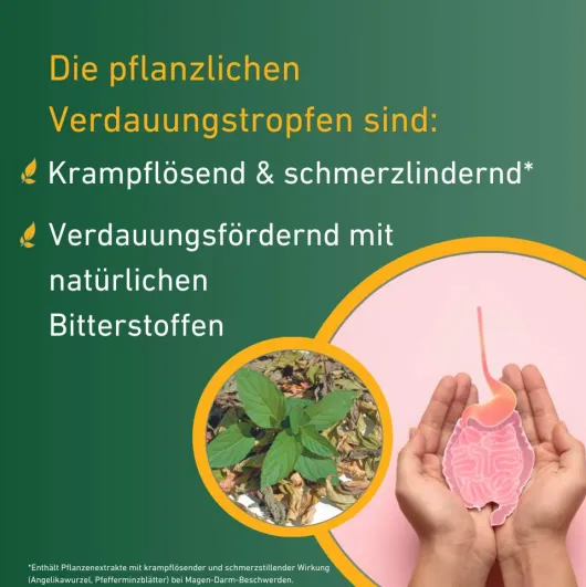 Carvomin Verdauungstropfen 100 ml (2 x 50 ml)
