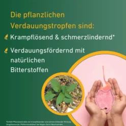 Carvomin Verdauungstropfen 50 ml
