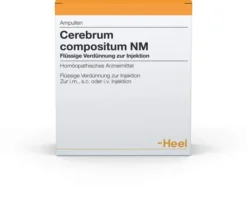 Cerebrum Compositum Nm 10 Ampullen