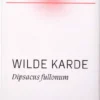 Ceres Wilde Karde Dipsacus Fullonum Extrakt Tropfen 20 ml