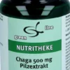 Chaga 500 mg Pilz Extrakt Kapseln 60 Stück