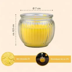Citronella Kerze in Glas