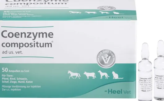 Coenzyme Compositum vet. 50 X 5 ml Ampullen