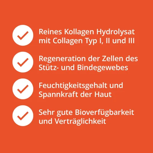 Collagen Pulver Kollagen Hydrolysat Peptide Rind 480 G Pulver