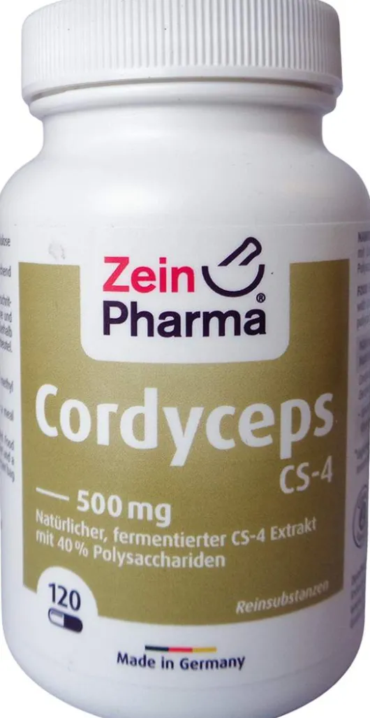Cordyceps Cs-4 500 mg Kapseln