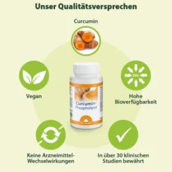 Curcumin Phospholipid Dr.Jacob s 60 Kapseln