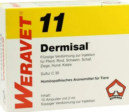 Dermisal 11 vet. 10 X 2 ml Ampullen