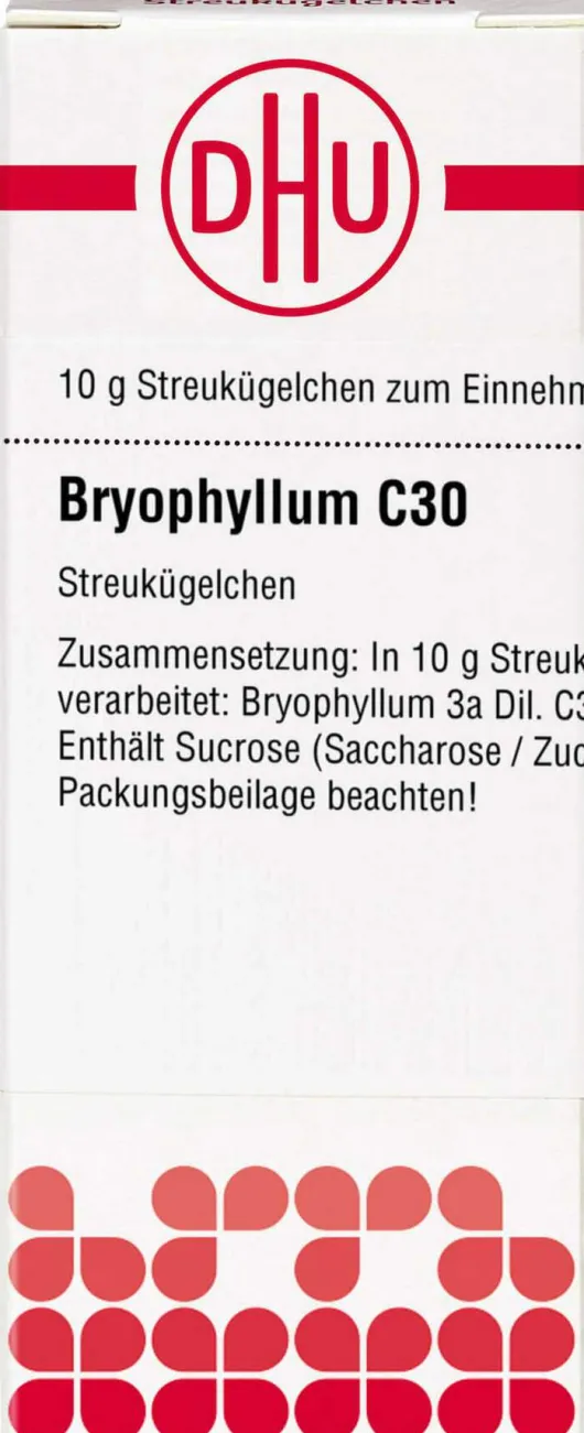 Dhu Bryophyllum C30 Globuli 10 G