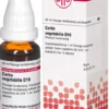 Dhu Carbo Vegetabilis D10 Dilution