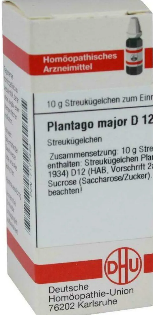 Dhu Plantago Major D12 Globuli