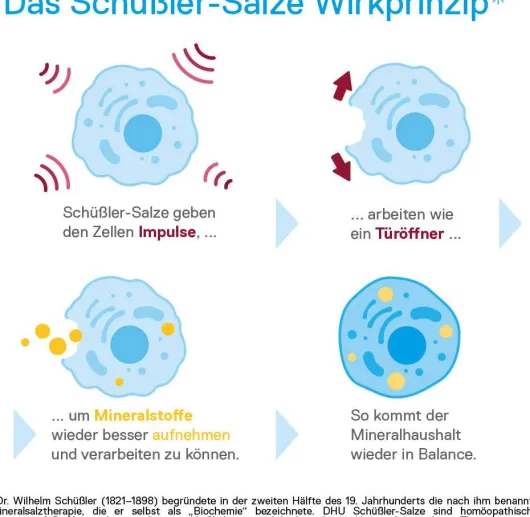 Dhu Schüßler-Salz Nr. 12 Calcium Sulfuricum D6 900 Tabletten
