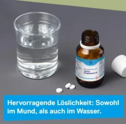 DHU Schüßler-Salz Nr. 9 Natrium phosphoricum D6 420 Tabletten