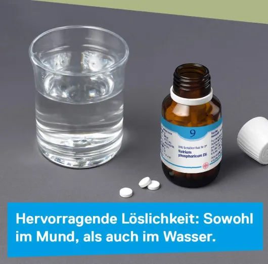 DHU Schüßler-Salz Nr. 9 Natrium phosphoricum D6 420 Tabletten