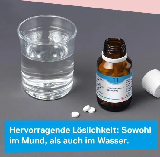 DHU Schüßler-Salz Nr. 11 Silicea D12 80 Tabletten