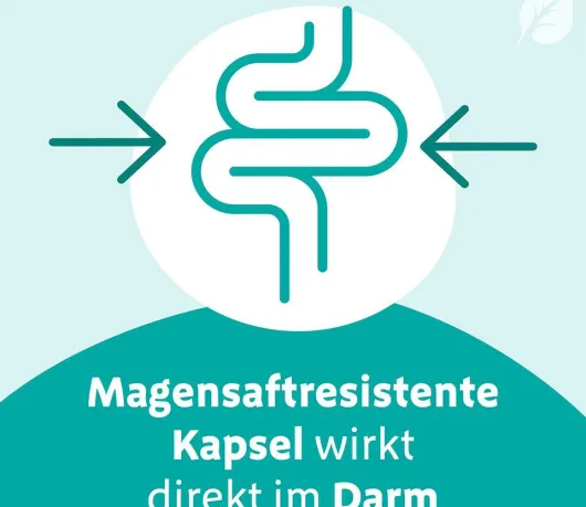 Digestopret Magensaftresistente Weichkapseln 45 Stück