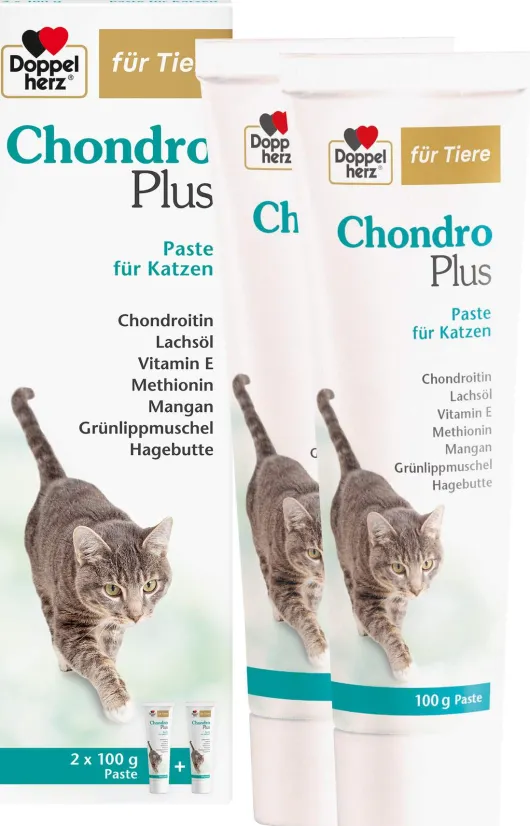 Doppelherz Für Tiere Chondro Plus Paste Für Katzen 200 G