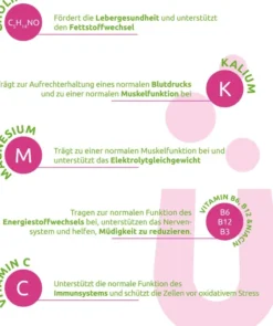 Dr. Theiss Elektrolüte aktiv Pulver 15 Beutel
