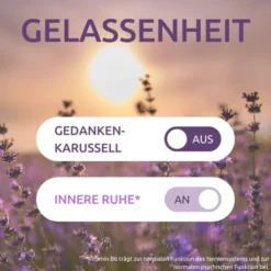 Dr. Theiss Innere Ruhe 30 Tabletten