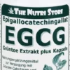 Egcg 100 mg Grüntee Extrakt Plus Kapseln